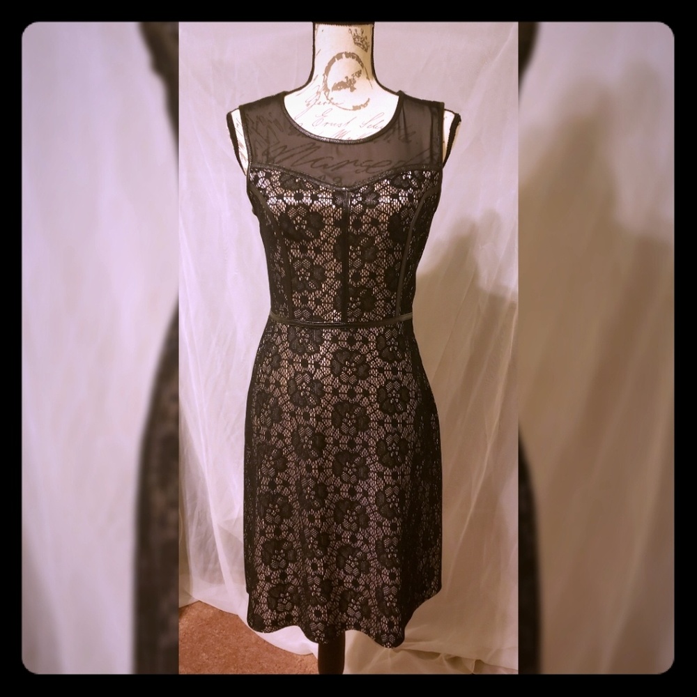 Lace & Sheer Dress
